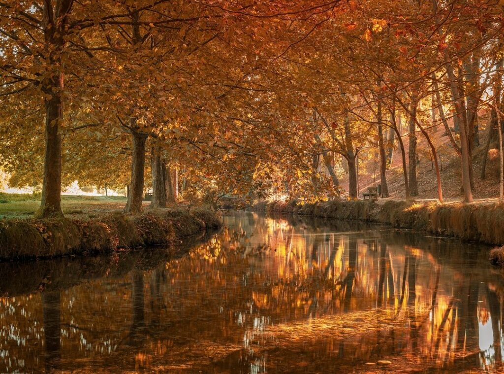 bomba 4 galerias la cuarta