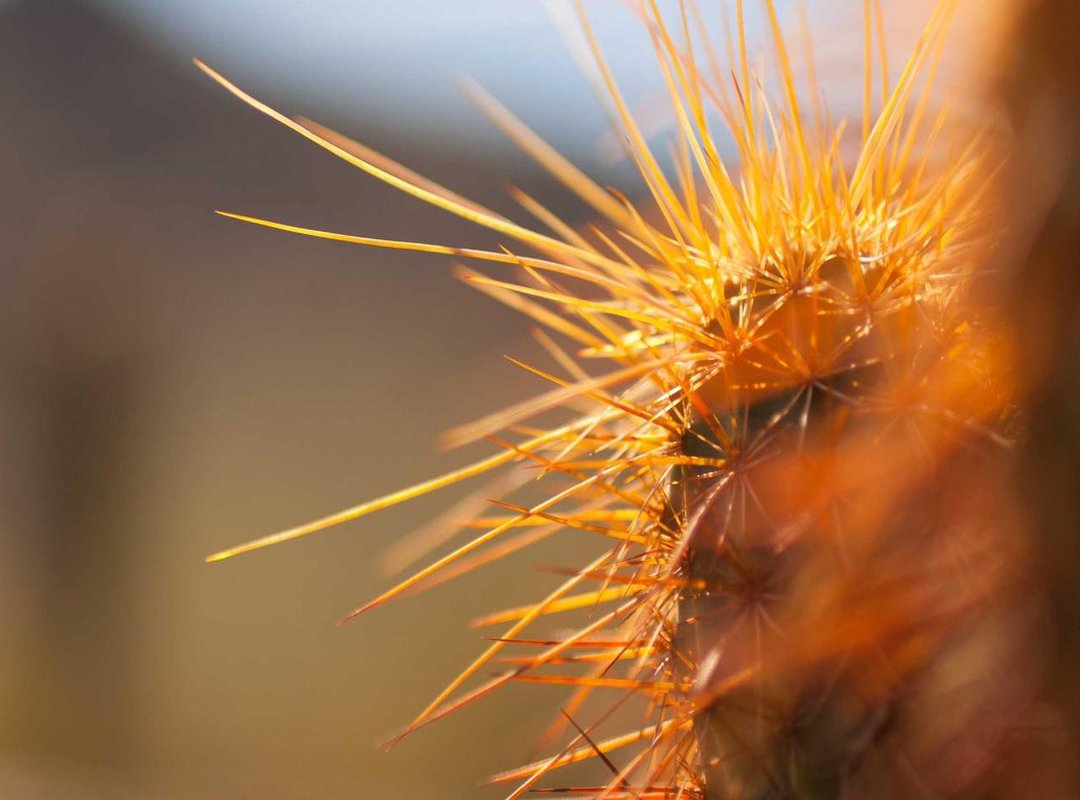 The Lasting Impact: Why Online Leaks Are So Damaging