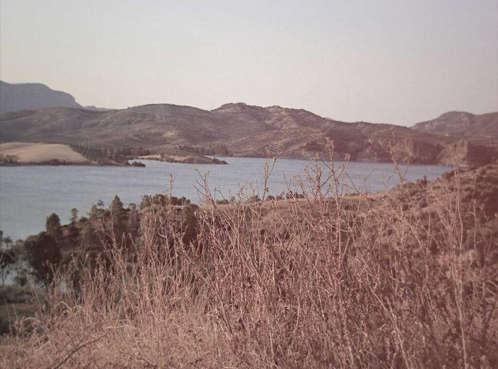 discoveryplus.com/samsung