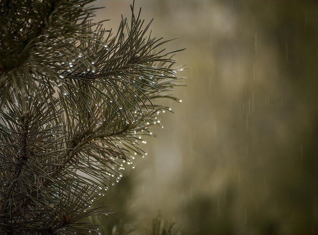 The Lasting Impact of a Simple Animated Scene