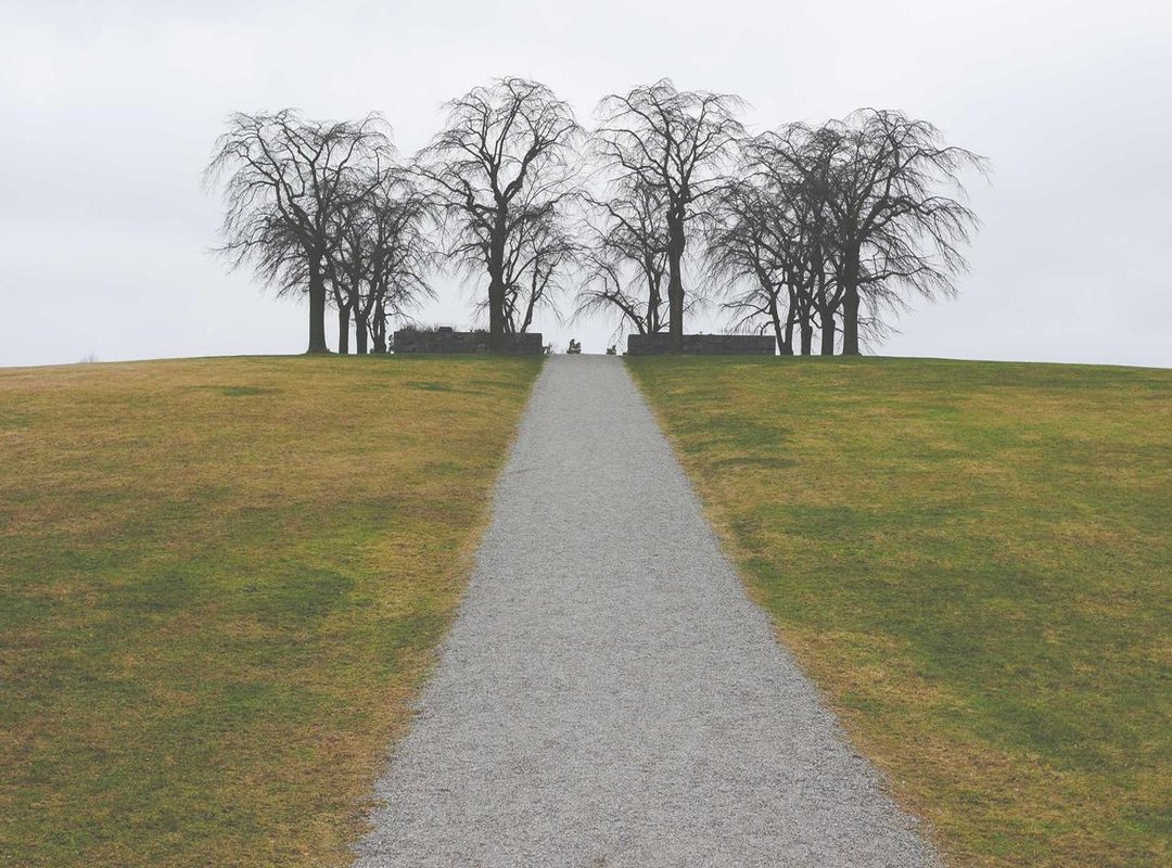 How to Watch 'Kan Çiçekleri' on MyTurcas: A Step-by-Step Walkthrough