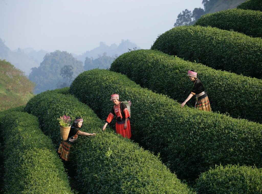 seamless travel experience