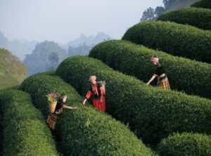 seamless travel experience